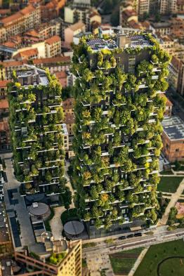 Vertical Forrest - Milano Italy